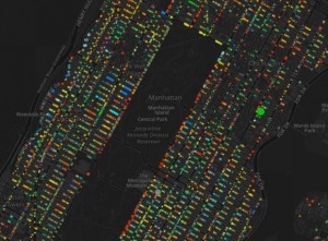 A Gorgeous Atlas of New York Tree Species – CityLab