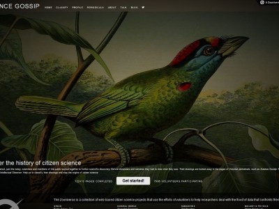 Digital Citizen Science: Creating Meaning for the Zooniverse