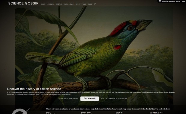 Digital Citizen Science: Creating Meaning for the Zooniverse